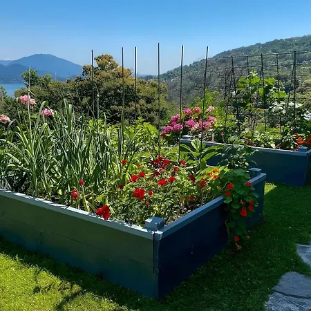Villa Alessia - 4 Bed With Maggiore View Stresa