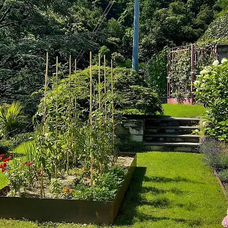 Villa Alessia - 4 Bed With Maggiore View *